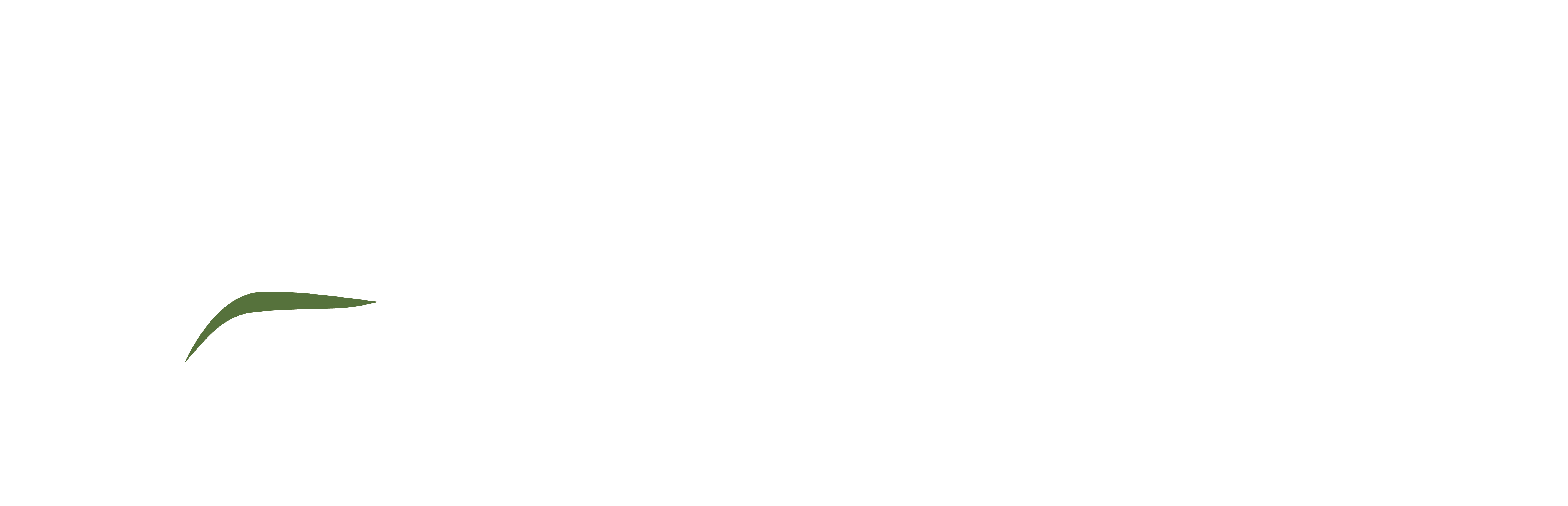 Recruitment IPSC Vi t Nam